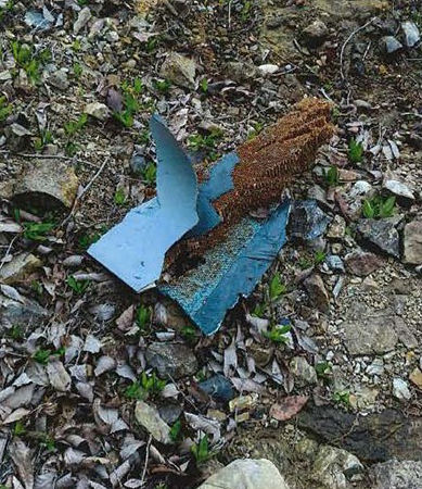 T4練習機の部品とみられる破片(5月14日、愛知県犬山市の入鹿池)=空自提供