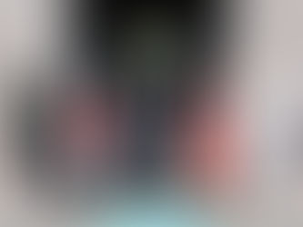 中谷大臣、中東3カ国歴訪　日本の防衛相としてトルコ初訪問