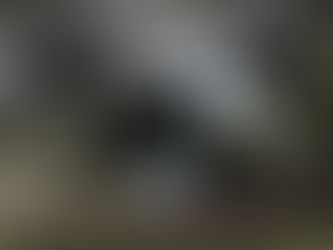 日米実動訓練　「レゾリュート・ドラゴン」