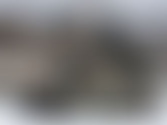 中距離多目的誘導弾