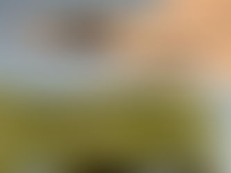 「冷静・厳格！」　統幕長パイロット時代の手袋、防衛相が紹介