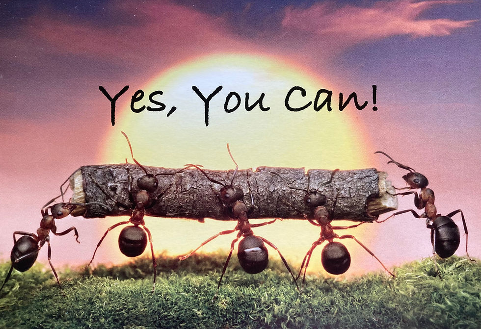 Yes, you can!!