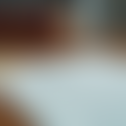 Notary and Apostille Services Combined