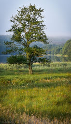 DSC_3020.jpg