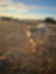 IMG_2106.jpeg
