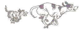 Dogs Running_edited_edited.jpg