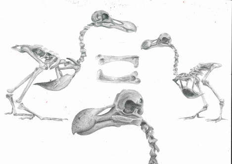 20220609131017169-2
