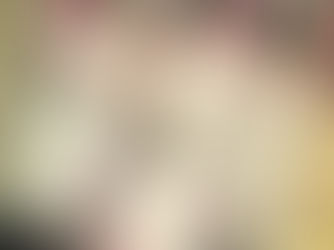 ELLE Mariage掲載情報