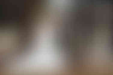 groom sitting on a cement bench and bride sitting on his lap