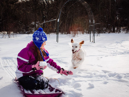 Winter Photo Mojo
