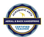 Aerial and Back Handspring Badge_page-0001 (1)_edited.jpg