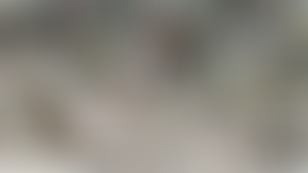 《THE ART COLLECTION》 현대백화점 무역센터점 9.26 - 10.13