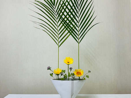 8月26日（火）大通り教室