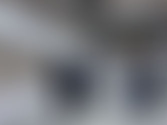 11月23日（土）青年部花展