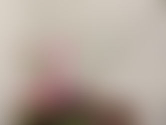 10月1日と8日 （株）E社