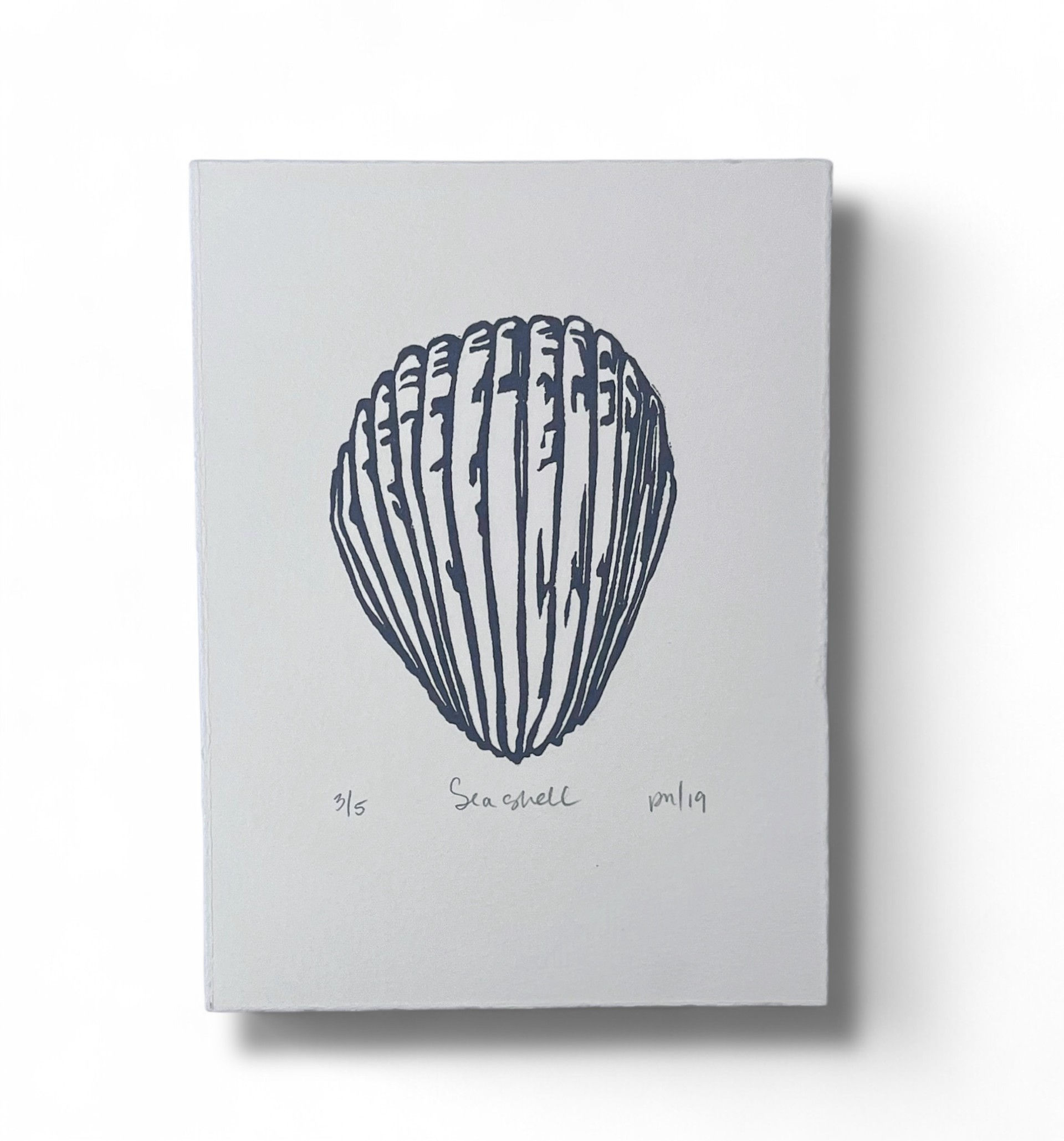 Seashell In Black, Limited Edition, 6" x 8"