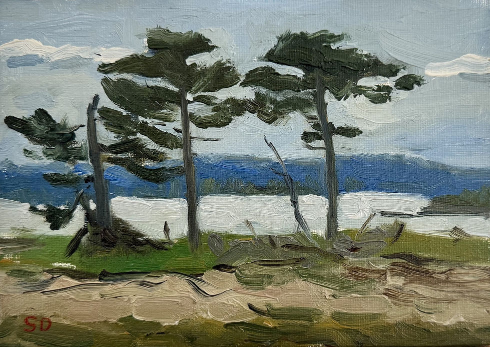 Thumbnail: Island Pines, 10" x 12"