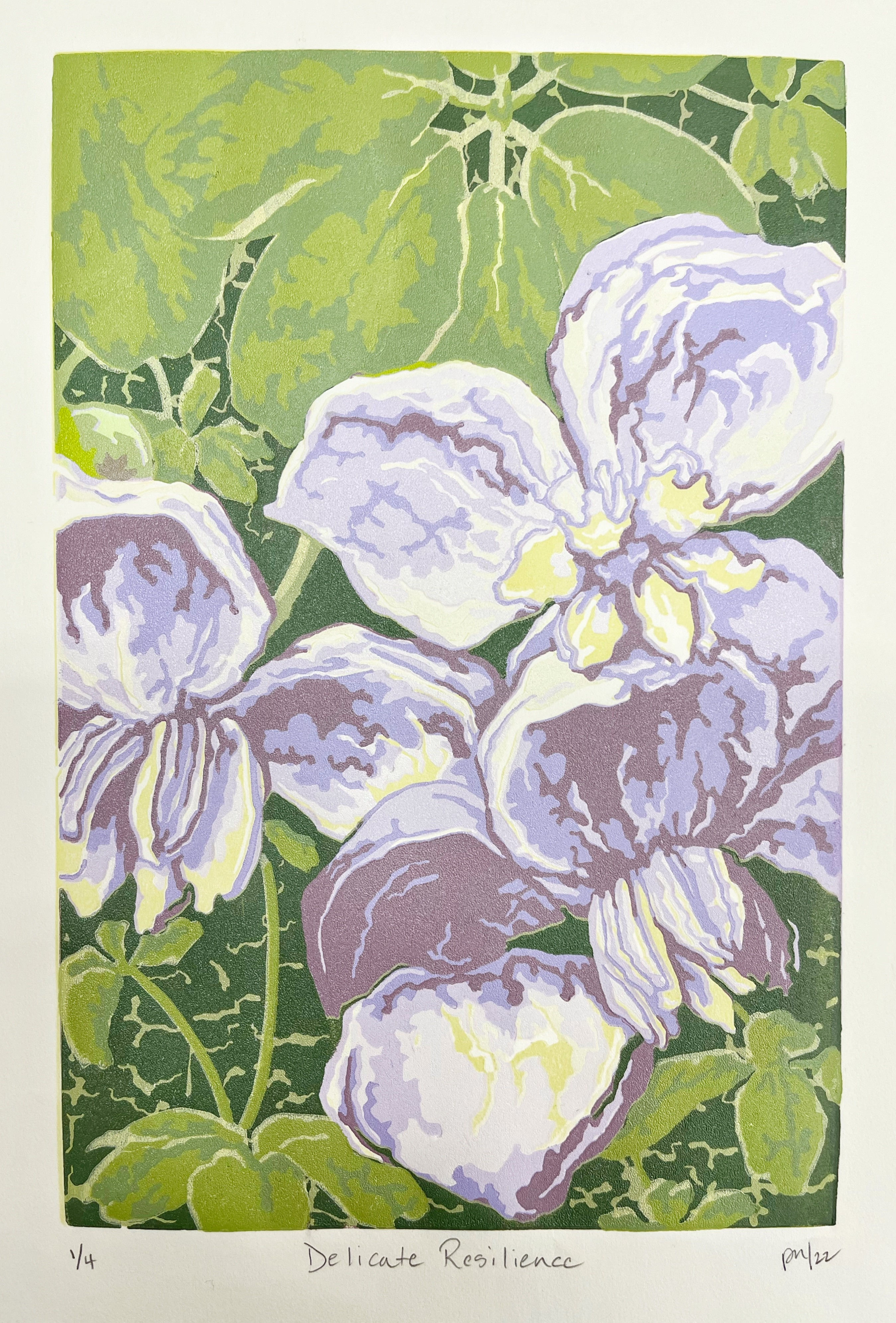 Delicate Resilience, 11" x 15"