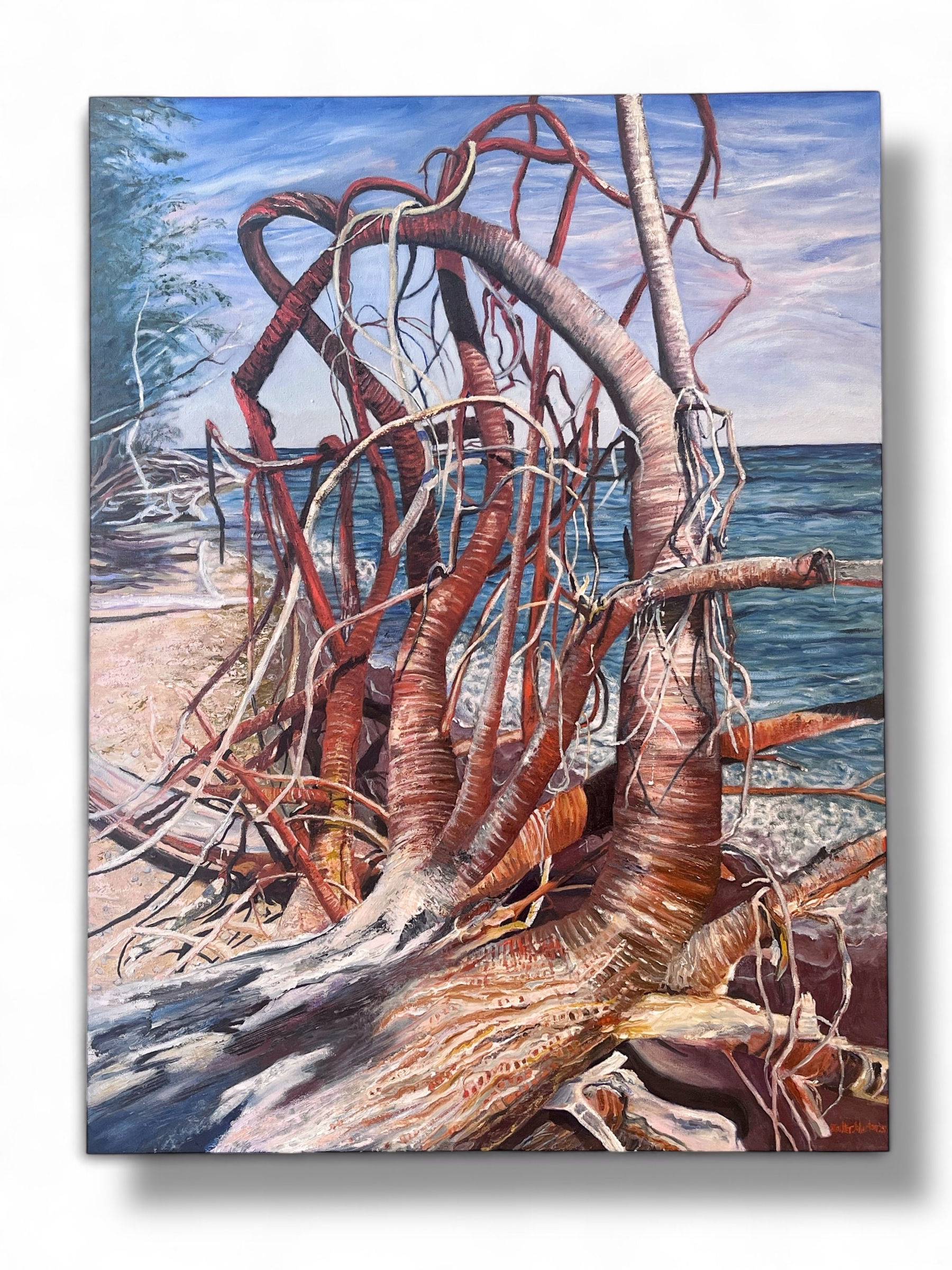 Squid, Point Pelee East Beach, 36" x 48"