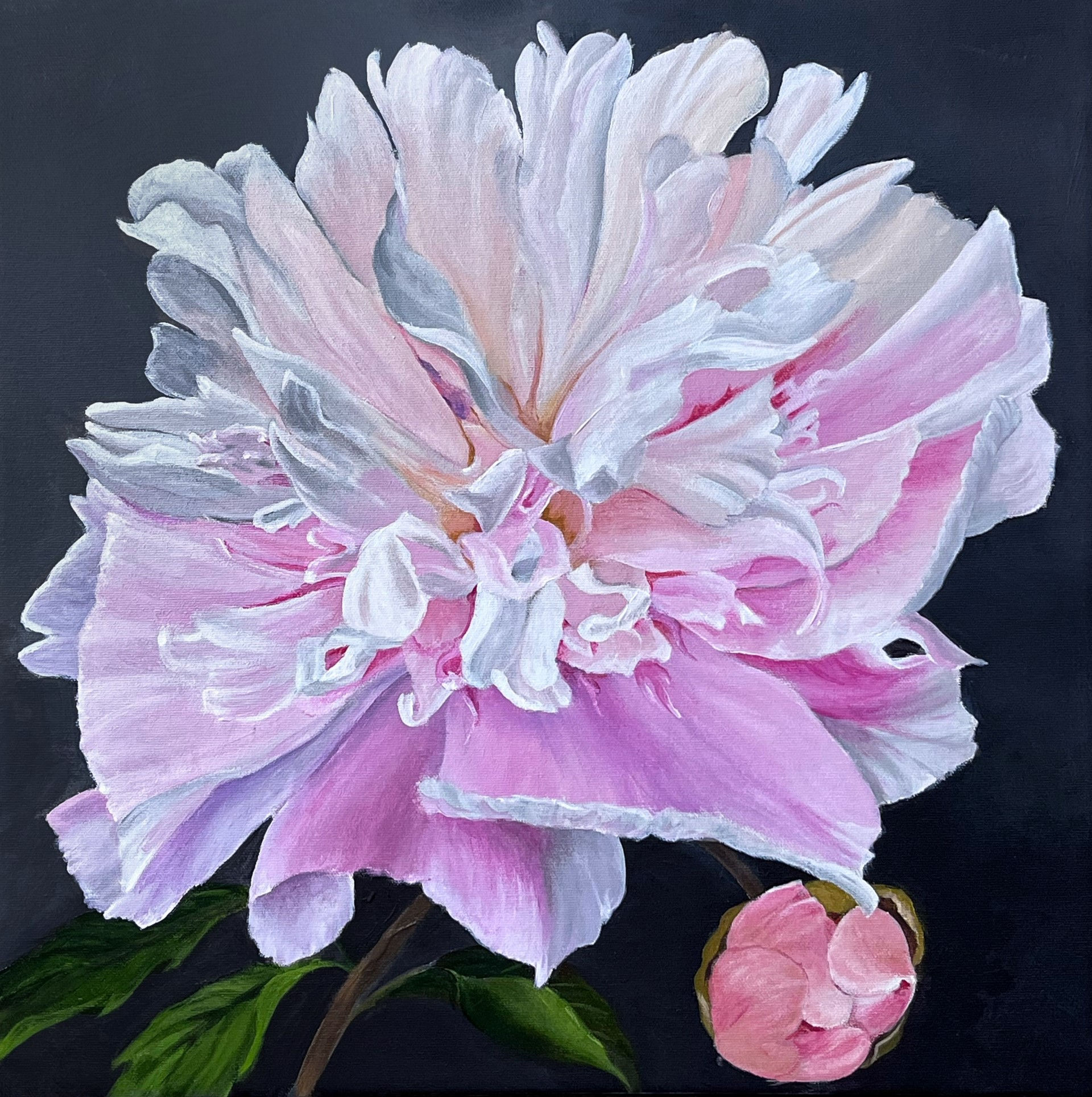 Caribbean Coral, 17" x 17"