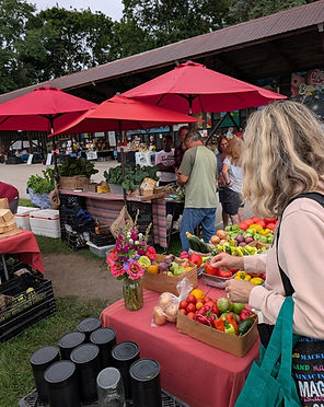 tecumseh farmers market1.jpg