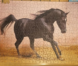 Cheval