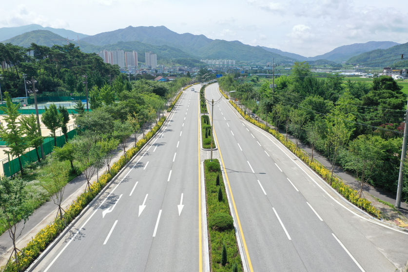 북원로 가로숲길 (3).JPG