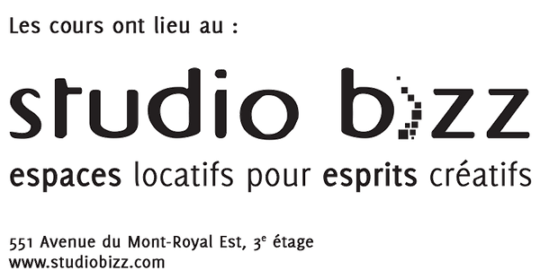 bizz_logo_noir_551.png