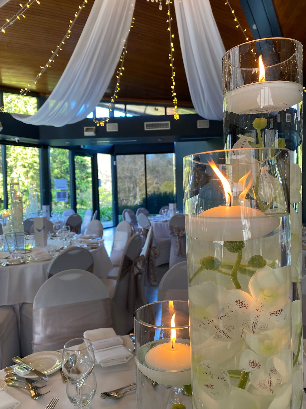 Wedding reception
