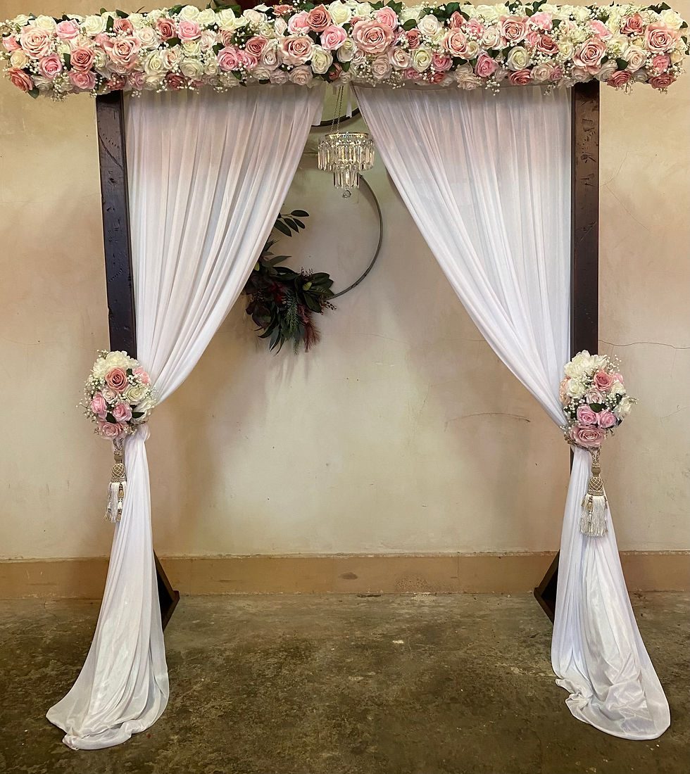 Princess set up $220