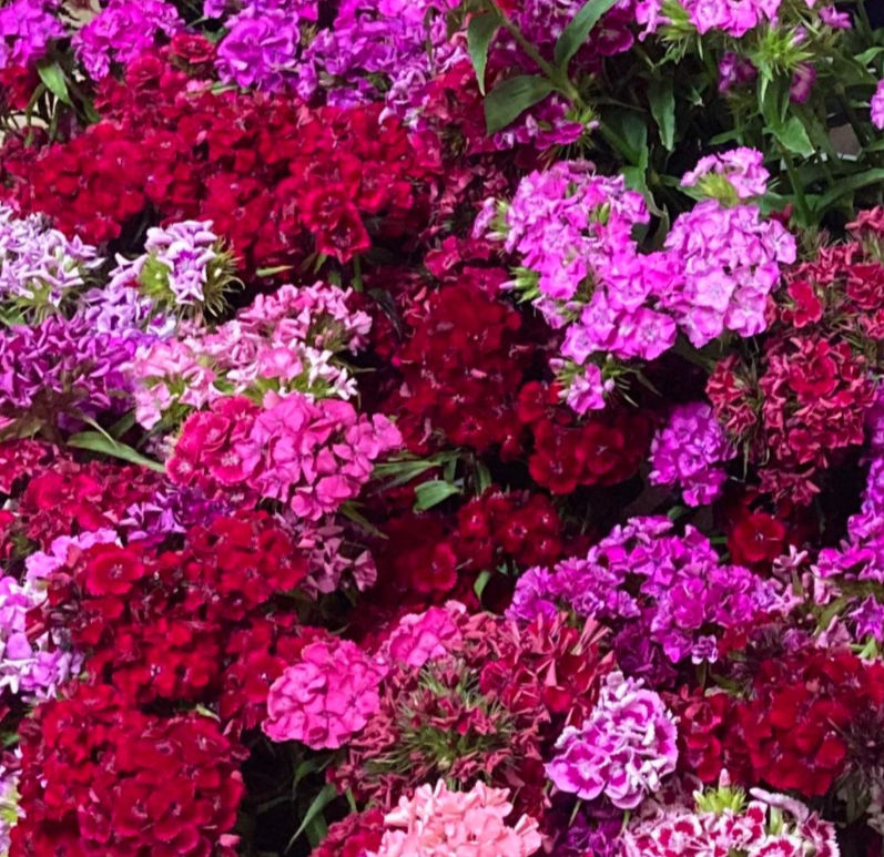 Thumbnail: Farm Fresh Bouquet