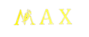 MAX VAPORIZER
