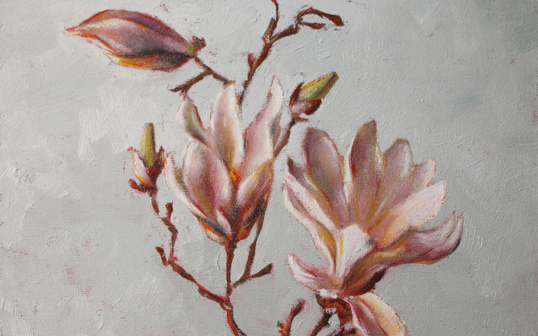 magnolie