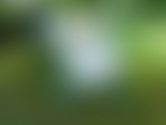 Wofür ist ein Schaffell gut – und warum lohnt es sich?