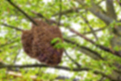 AdobeStock_111968408.jpeg