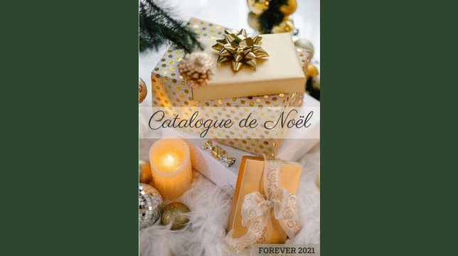 Catalogue de Noel 2021- revesdaloe.gif