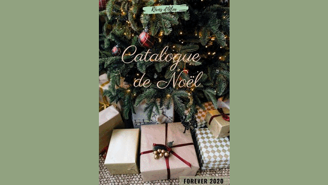 Catalogue de Noel 2020.gif