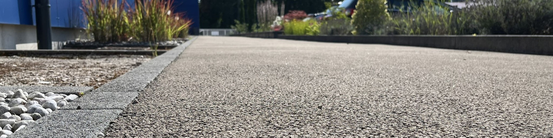 Vue très zoomée d'une allée en enrobé, surfacée avec de l'enrobé noir et bordée de végétation