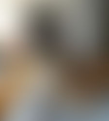 รูปแบบและเทคนิคการจัดวางของเฟอร์นิเจอร์ในห้องนอน ตอนที่1