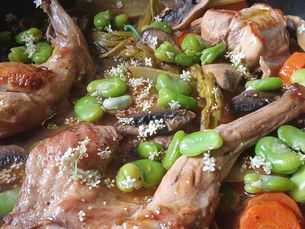 Fricassée de Lapin aux Fleurs de Sureau noir et Fèves Fraîches 🌿