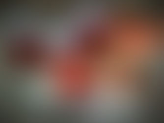 Confiture de prunes rouges et pastèque