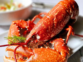 🦞 Homard vapeur et salade croquante au fenouil : un festin tout en délicatesse