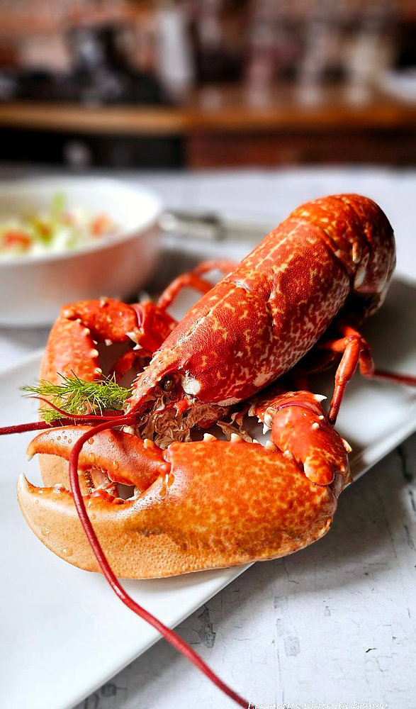 🦞 Homard vapeur et salade croquante au fenouil : un festin tout en délicatesse