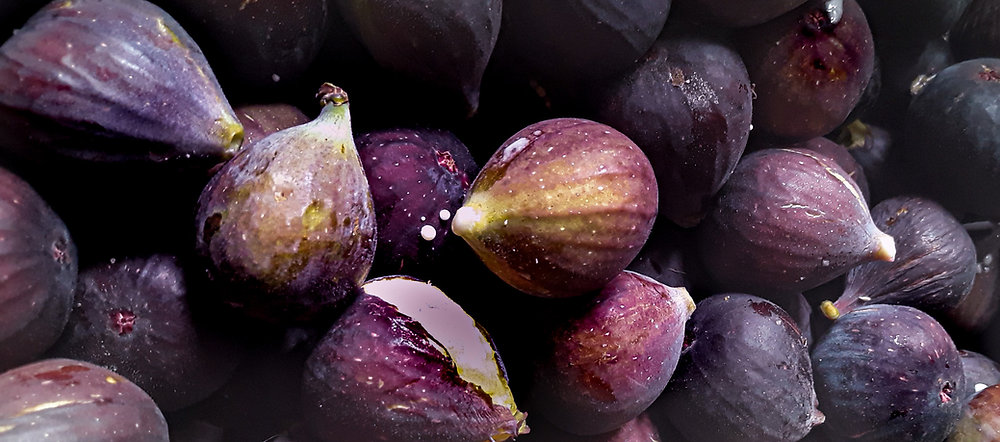 🌿🟣 Focus sur la figue, le fruit de la fin de l’été