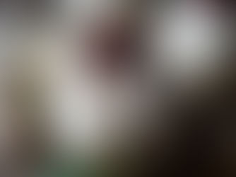 Tiramisu revisité à la cerise