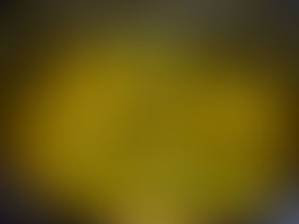 Confit d'ail nouveau