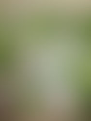 👻 Sablés Monstres d’Halloween : une séance gourmande et créative