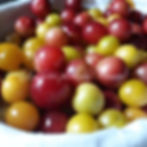 Prunes sauvages