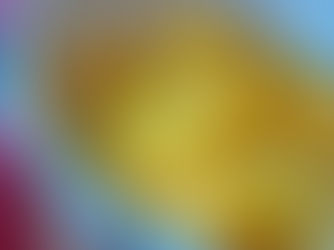 Compote maison de pommes et mangue fraîche