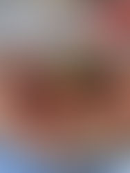 🌞 Tarte aux légumes d’été : tomates & courgettes